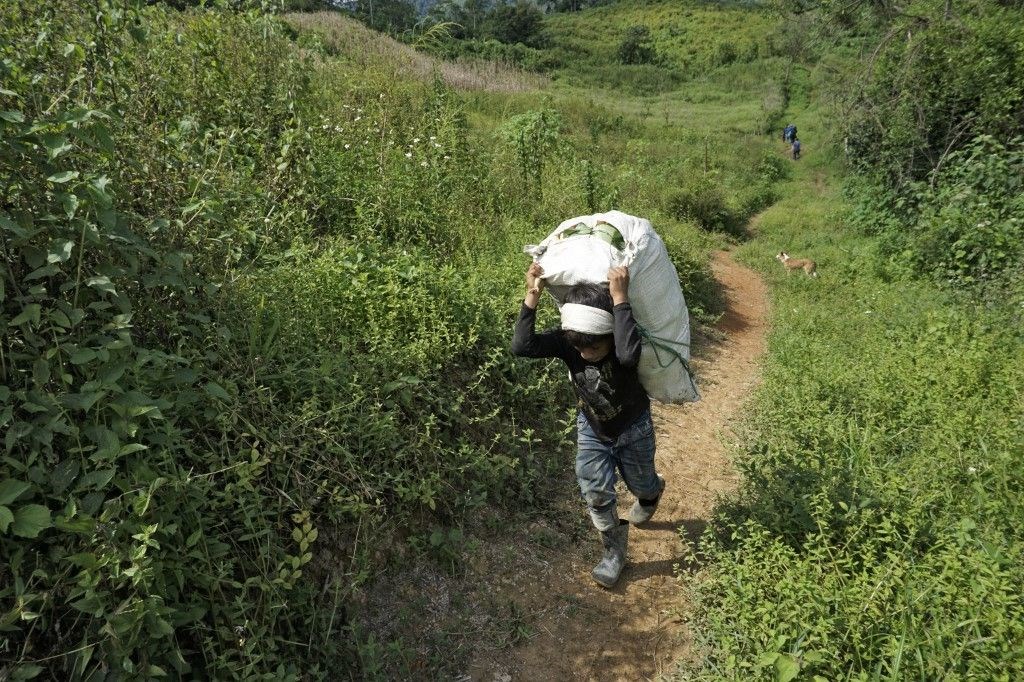 Küresel ısınma Guatemala’da tarımı yok etti: Hiçbir şeyimiz kalmadı