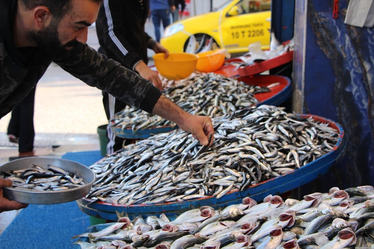 Marmara’daki lüfer bolluğunda müsilaj etkisi