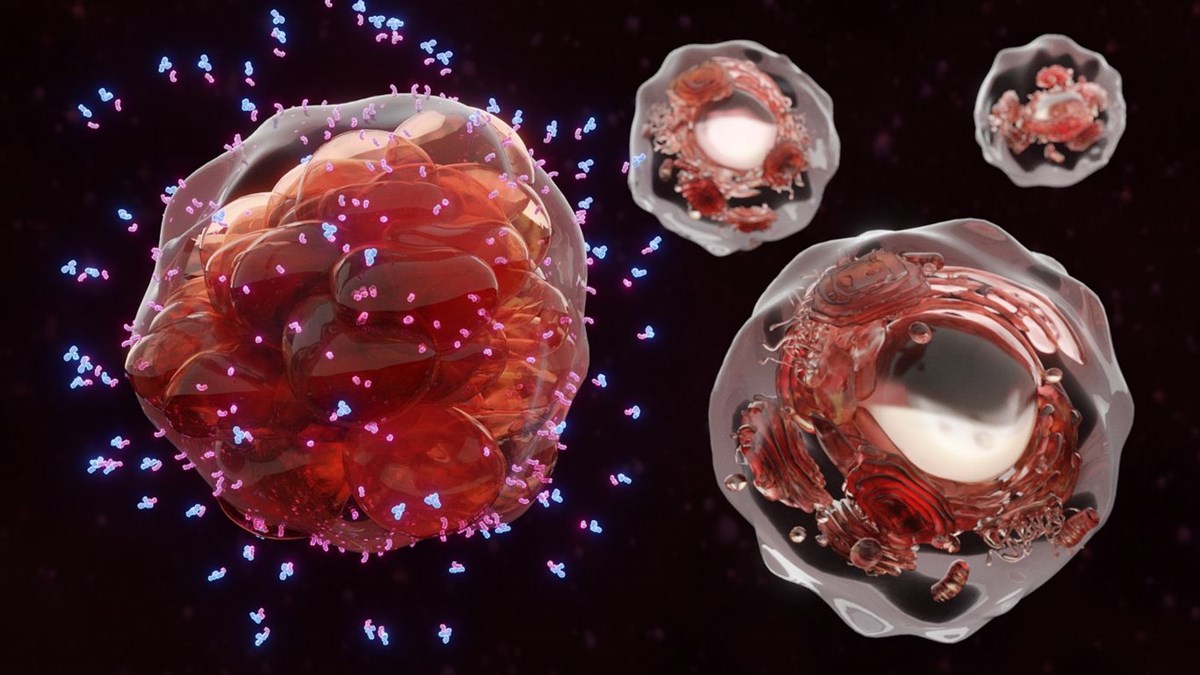 CDC duyurdu: Covid-19 aşıları, doğal bağışıklıktan 5 kat daha güçlü koruma sağlıyor