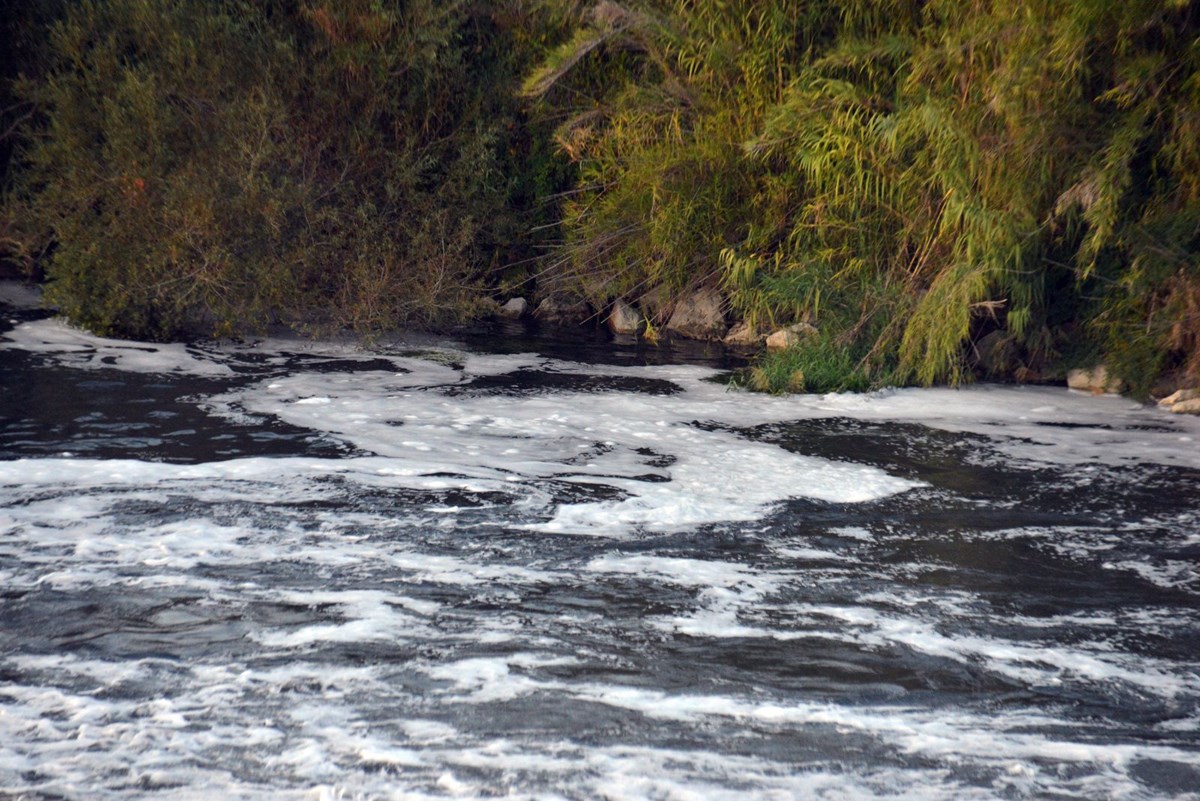 Ceyhan Nehri’nde tedirgin eden görüntü
