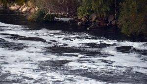 Ceyhan Nehri’nde tedirgin eden görüntü