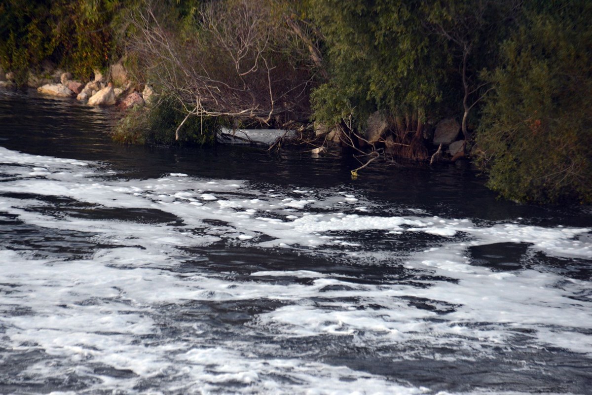 Ceyhan Nehri’nde tedirgin eden görüntü