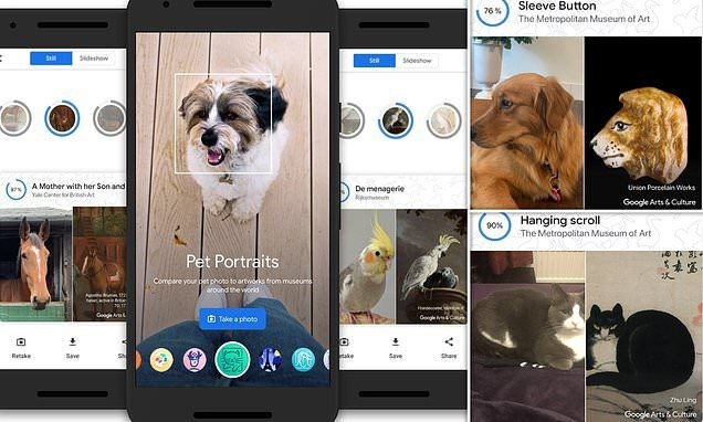 Kedinizin tarihteki ikizi kim? Google, Pet Portraits özelliğini tanıttı
