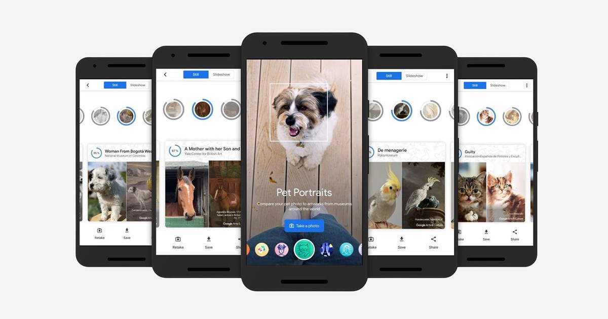Kedinizin tarihteki ikizi kim? Google, Pet Portraits özelliğini tanıttı