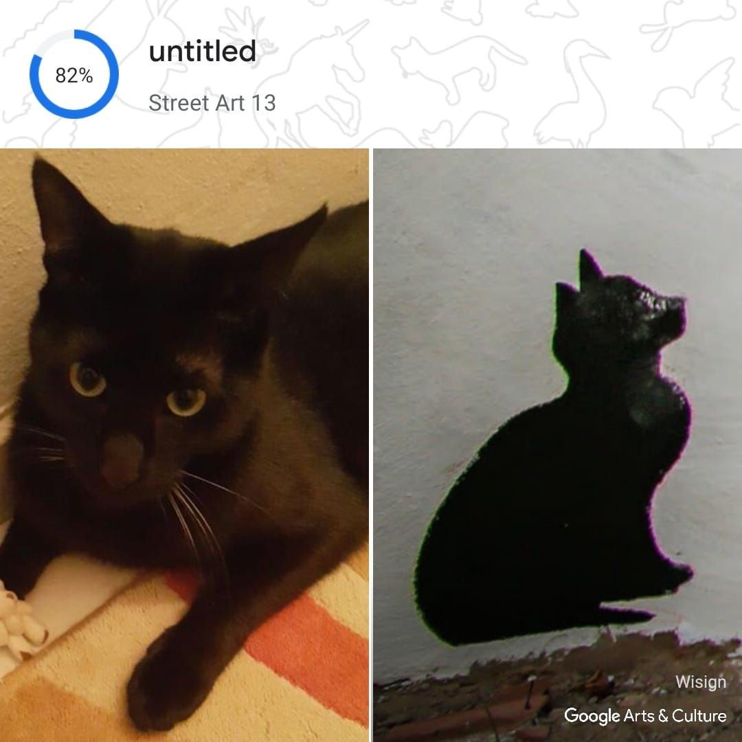 Kedinizin tarihteki ikizi kim? Google, Pet Portraits özelliğini tanıttı