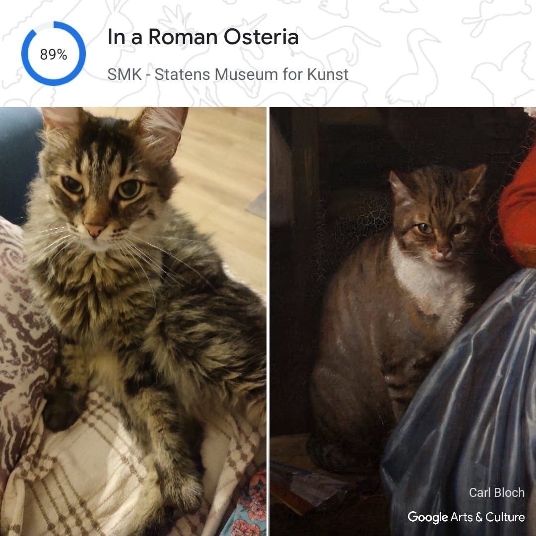 Kedinizin tarihteki ikizi kim? Google, Pet Portraits özelliğini tanıttı