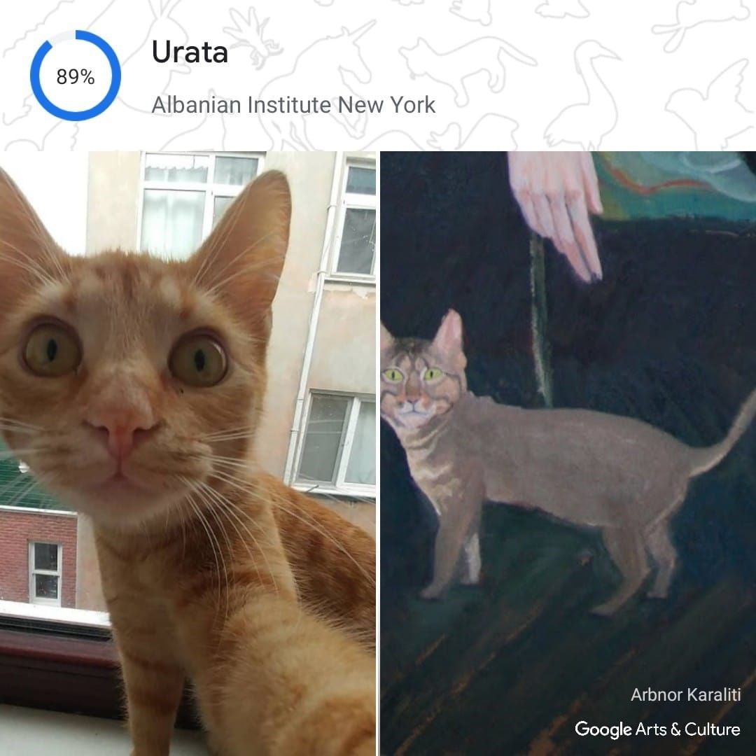 Kedinizin tarihteki ikizi kim? Google, Pet Portraits özelliğini tanıttı
