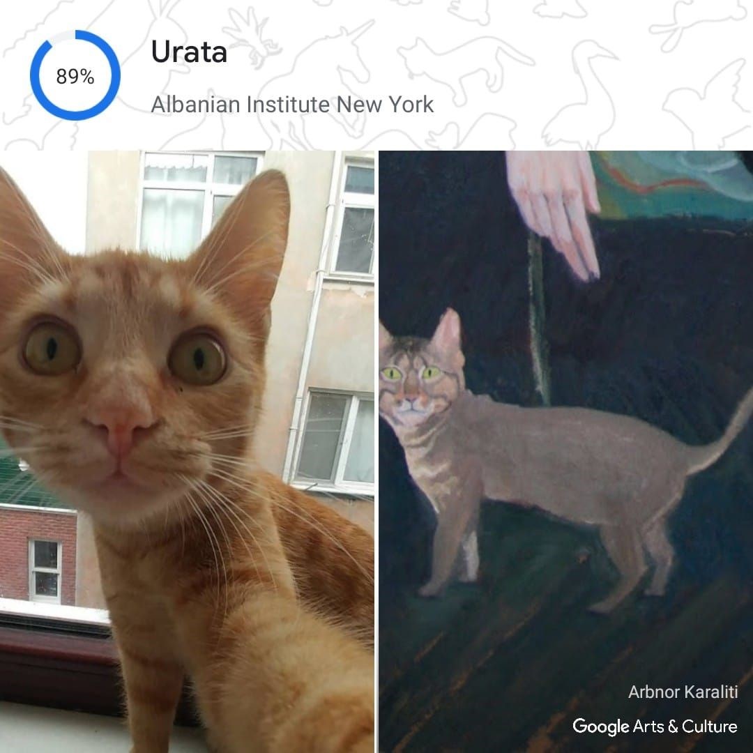 kedinizin tarihteki ikizi kim google pet portraits ozelligini tanitti 5