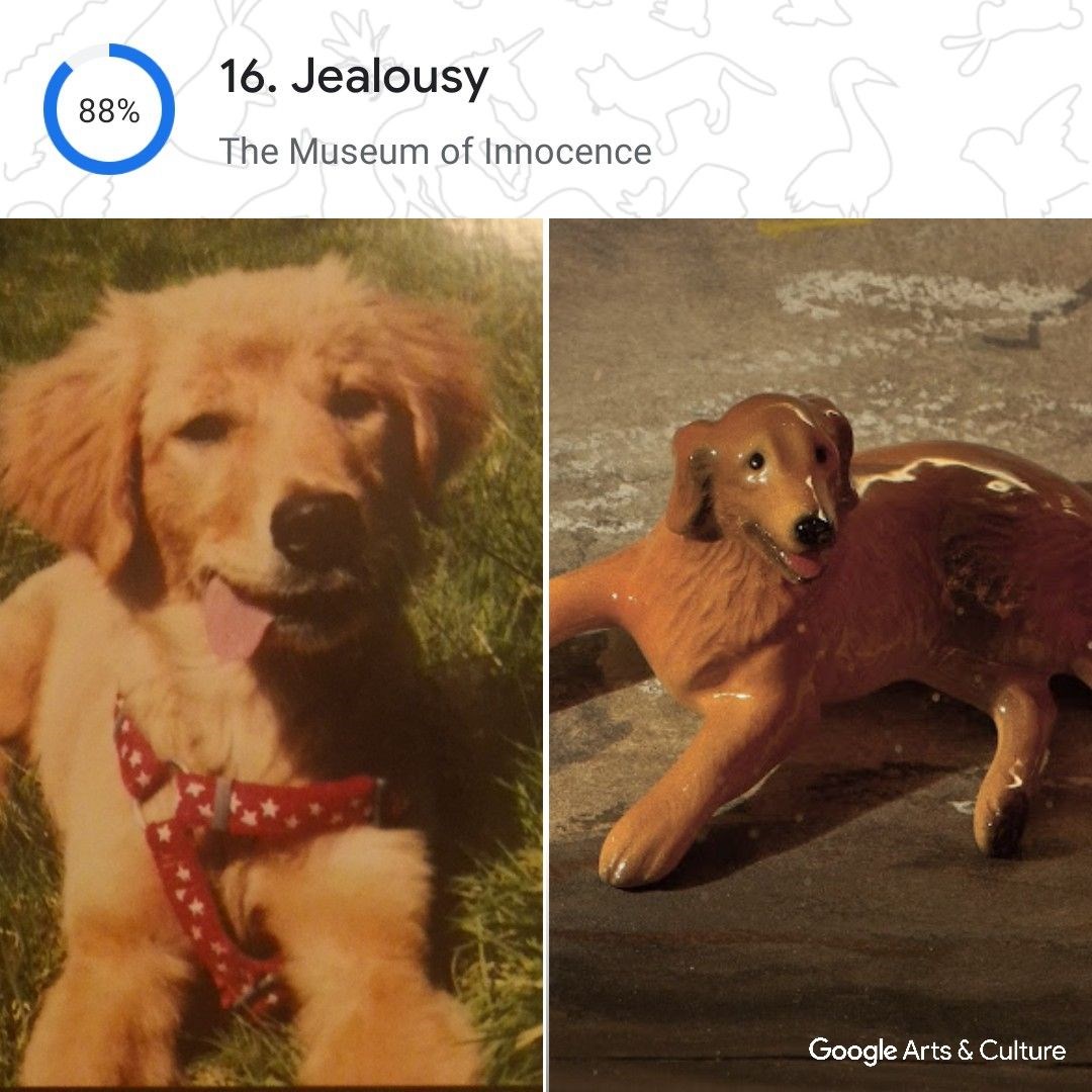 Kedinizin tarihteki ikizi kim? Google, Pet Portraits özelliğini tanıttı