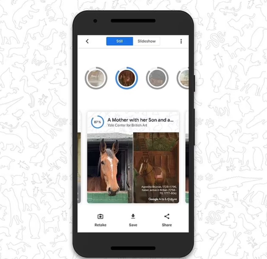 Kedinizin tarihteki ikizi kim? Google, Pet Portraits özelliğini tanıttı