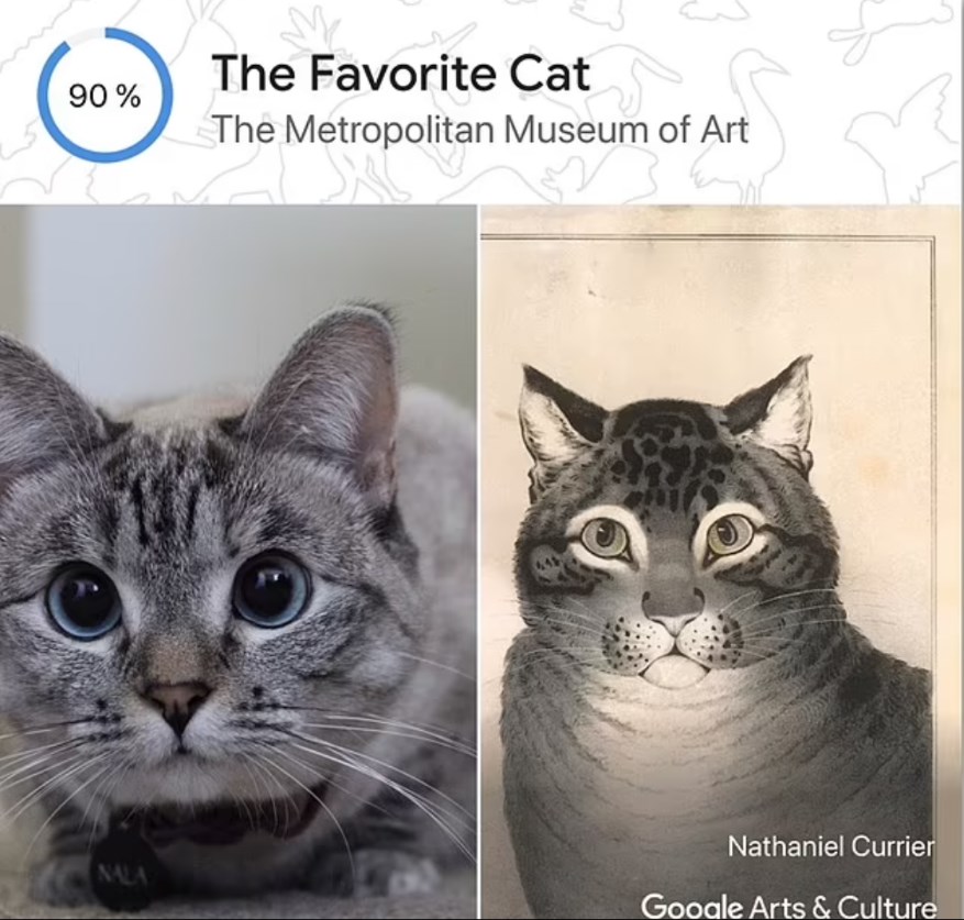 Kedinizin tarihteki ikizi kim? Google, Pet Portraits özelliğini tanıttı