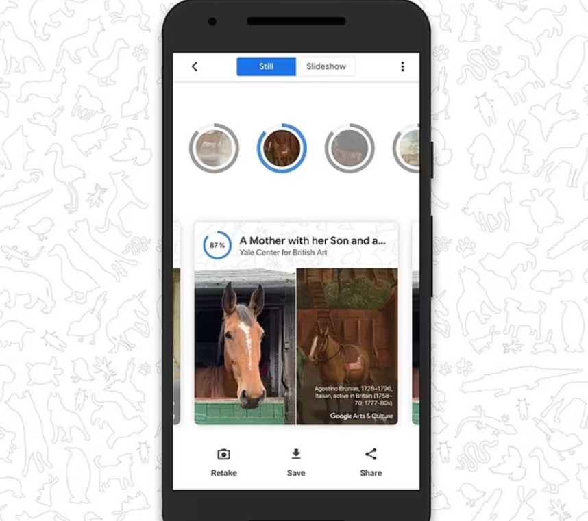 Kedinizin tarihteki ikizi kim? Google, Pet Portraits özelliğini tanıttı