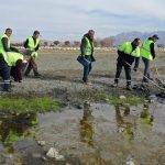 Van Gölü’nde, çekilmenin olduğu bölgelerde 40 ton çöp toplandı