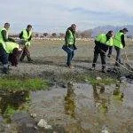 Van Gölü’nde, çekilmenin olduğu bölgelerde 40 ton çöp toplandı