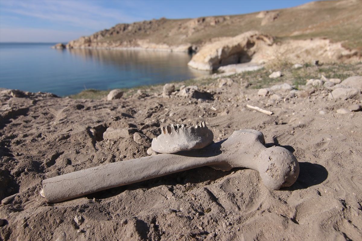 vanda demir cagina ait insan kemikleri seramik ve comlek parcalari bulundu 10