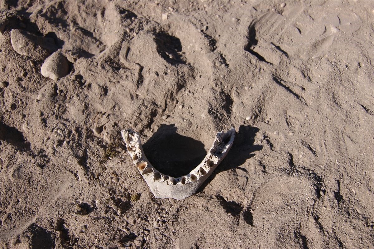 vanda demir cagina ait insan kemikleri seramik ve comlek parcalari bulundu 11