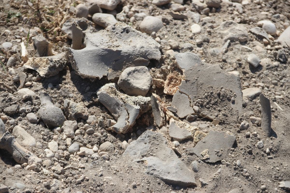 vanda demir cagina ait insan kemikleri seramik ve comlek parcalari bulundu 13