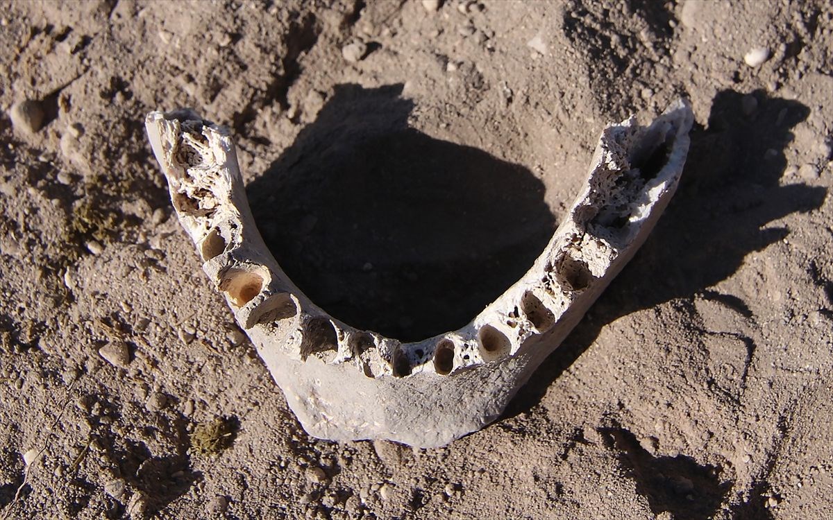vanda demir cagina ait insan kemikleri seramik ve comlek parcalari bulundu 15