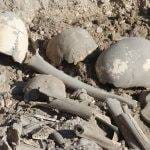 Van’da Demir Çağı’na ait insan kemikleri, seramik ve çömlek parçaları bulundu