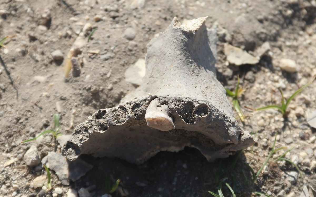vanda demir cagina ait insan kemikleri seramik ve comlek parcalari bulundu 16