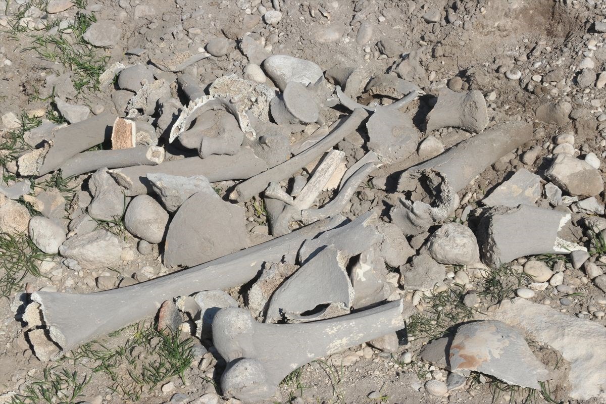 vanda demir cagina ait insan kemikleri seramik ve comlek parcalari bulundu 5