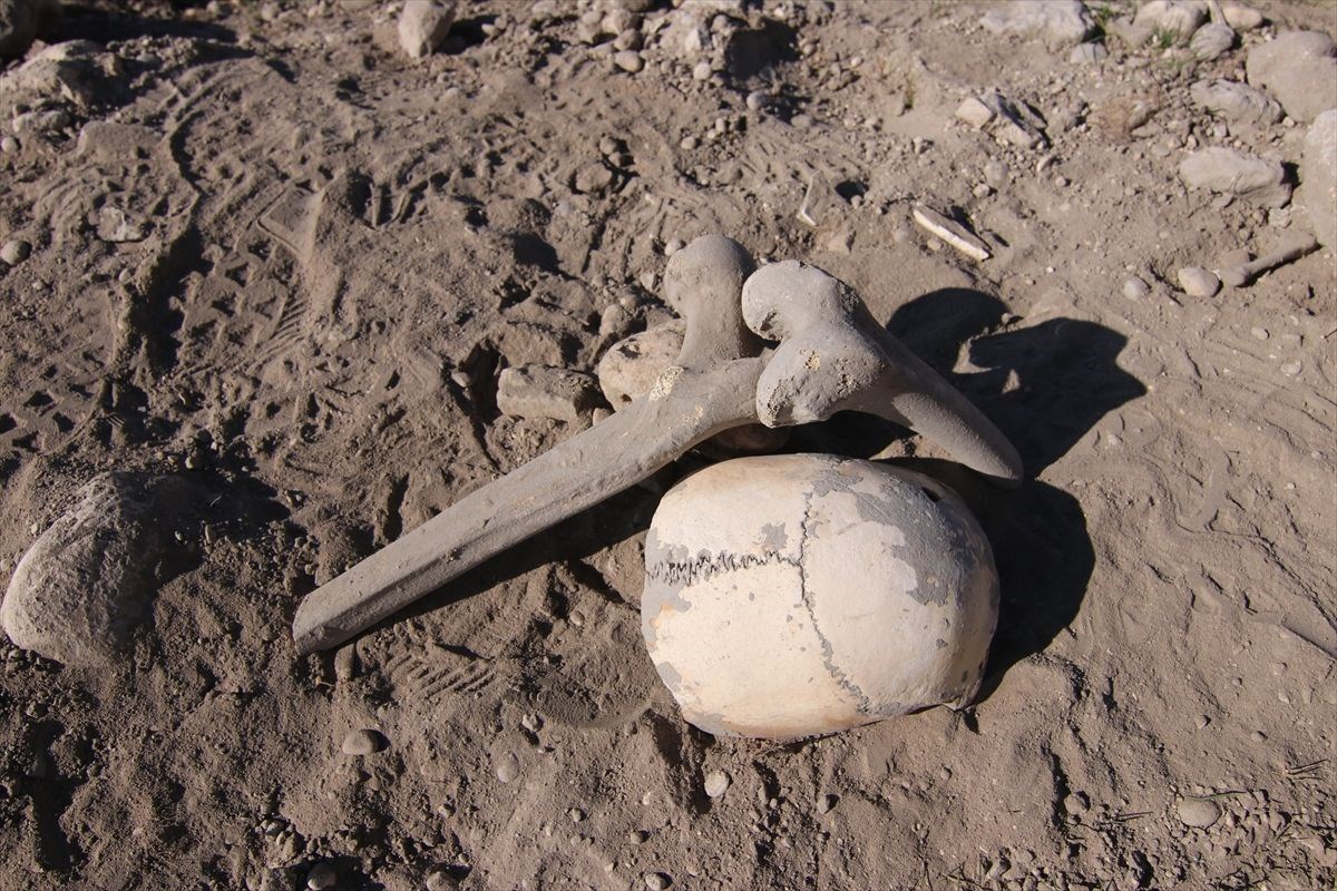 vanda demir cagina ait insan kemikleri seramik ve comlek parcalari bulundu 7
