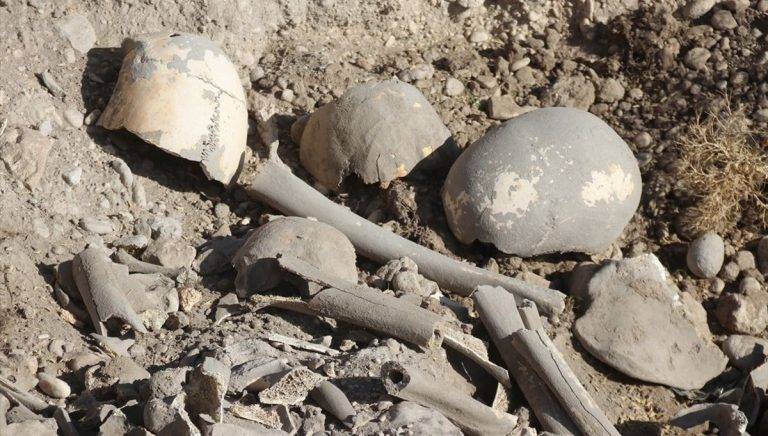 Van’da Demir Çağı’na ait insan kemikleri, seramik ve çömlek parçaları bulundu