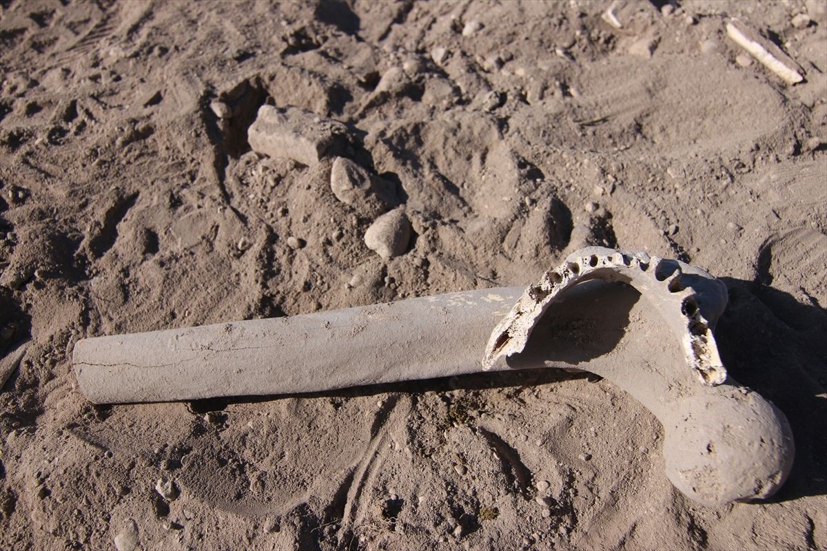 vanda demir cagina ait insan kemikleri seramik ve comlek parcalari bulundu 9