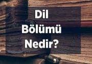 Dil Bölümü Nedir? Dil Bölümünde Hangi Dersler Vardır?