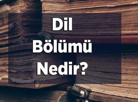 dil bolumu nedir dil bolumunde hangi dersler vardir