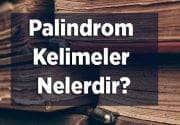 Palindrom Kelimeler Nelerdir? 4, 5 Ve 6 Harfli Palindrom Kelimeler
