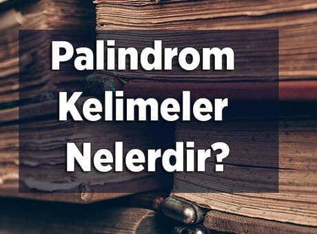 Palindrom Kelimeler Nelerdir? 4, 5 Ve 6 Harfli Palindrom Kelimeler