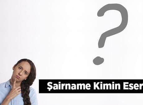 Şairname Kimin Eseridir, Ne Zaman Ve Kim Tarafından Yazılmıştır?