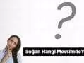 Soğan Hangi Mevsimde Ve Hangi Ayda Yetişir?