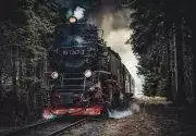 Tren Vagonlarında 2+1 Pulman Ekonomi Ve Business Nedir?