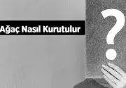 Yaş Ağaç Nasıl Kurutulur? Ağacı Kurutmak İçin Dibine Ne Dökülür?