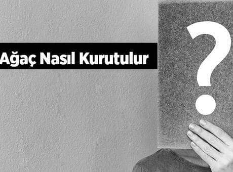 Yaş Ağaç Nasıl Kurutulur? Ağacı Kurutmak İçin Dibine Ne Dökülür?