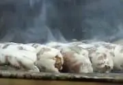 KIBRIS ŞEFTALİ KEBABI NASIL YAPILIR? ŞEFTALİ KEBABI TARİFİ, MALZEMELERİ