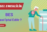 Bireysel Emeklilik BES Nasıl iptal Edilir?