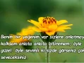 Yeğen sözleri