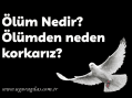 İnsanlar ölümden neden korkar ?