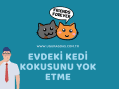 Evdeki kedi kokusunu nasıl yok ederim?