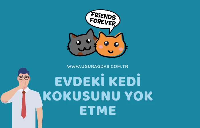 Evdeki kedi kokusunu nasıl yok ederim?
