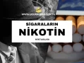 Marlboro Touch White Sigara Nikotin Miktarı
