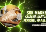 ŞOK Market Çalışma Şartlar ve Personel Maaşları