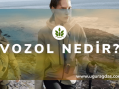Vozol Nedir?