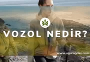 Vozol Nedir?