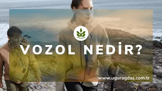 Vozol Nedir?