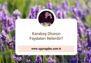 Karabaş Otunun Faydaları Nelerdir?