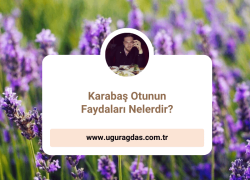 Karabaş Otunun Faydaları Nelerdir?